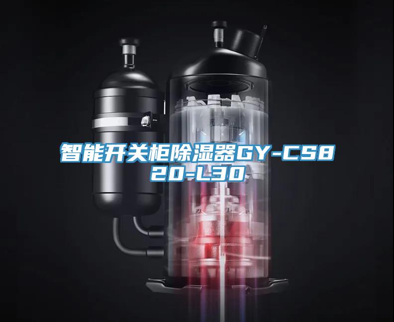 亚洲人成综合第一网站 智能开关柜除湿器GY-CS820-L30