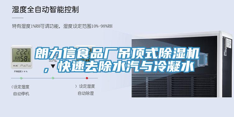 亚洲欧美一级特黄大片 朗力信食品厂吊顶式除湿机，快速去除水汽与冷凝水