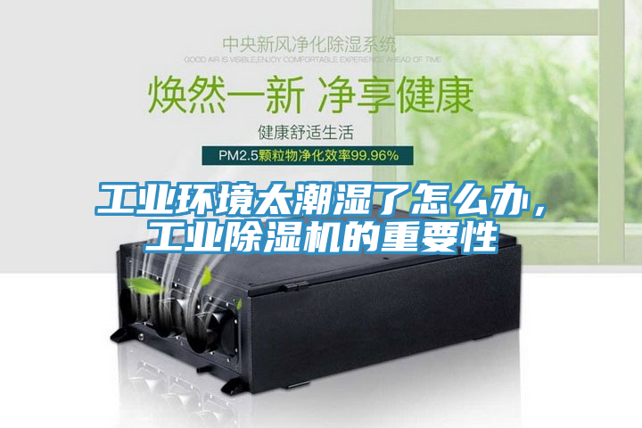 亚洲乱码一区二区三区 工业环境太潮湿了怎么办，工业除湿机的重要性