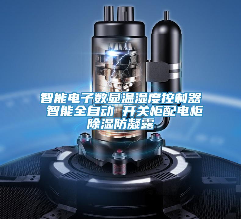 亚洲欧美一级特黄大片 智能电子数显温湿度控制器 智能全自动 开关柜配电柜除湿防凝露