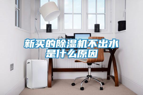 亚洲欧美一级特黄大片 新买的除湿机不出水是什么原因