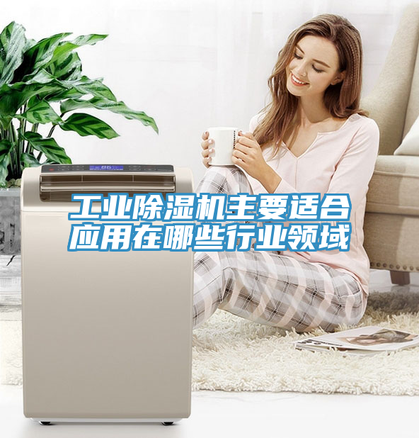 亚洲人成综合第一网站 工业除湿机主要适合应用在哪些行业领域