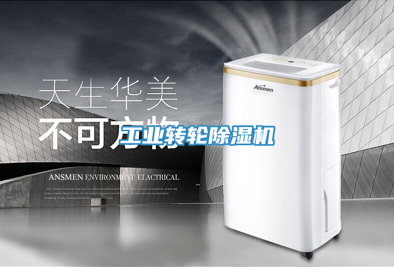 亚洲人成综合第一网站 工业转轮除湿机