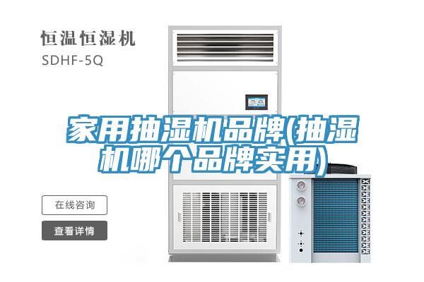 亚洲人成综合第一网站 家用抽湿机品牌(抽湿机哪个品牌实用)