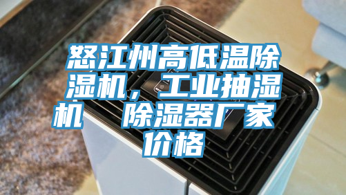 亚洲人成综合第一网站 怒江州高低温除湿机，工业抽湿机  除湿器厂家 价格