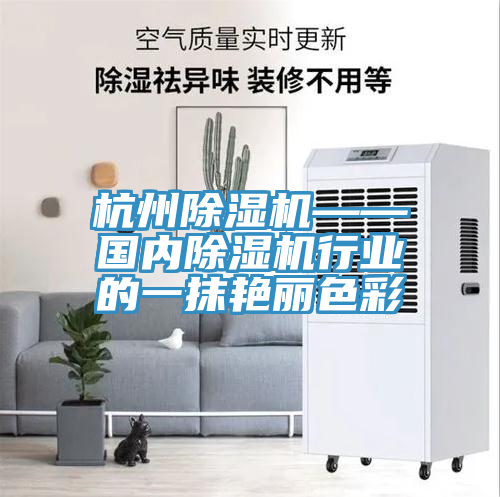 亚洲乱码一区二区三区 杭州除湿机——国内除湿机行业的一抹艳丽色彩
