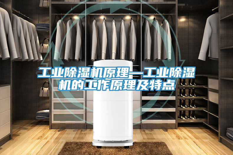 亚洲人成综合第一网站 工业除湿机原理—工业除湿机的工作原理及特点