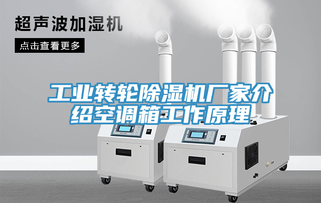 亚洲人成综合第一网站 工业转轮除湿机厂家介绍空调箱工作原理