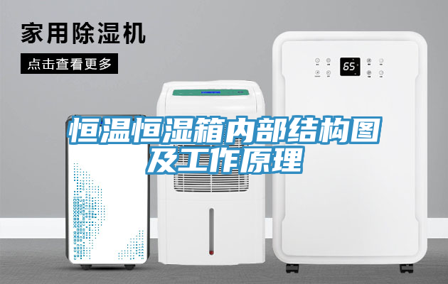 亚洲人成综合第一网站 恒温恒湿箱内部结构图及工作原理