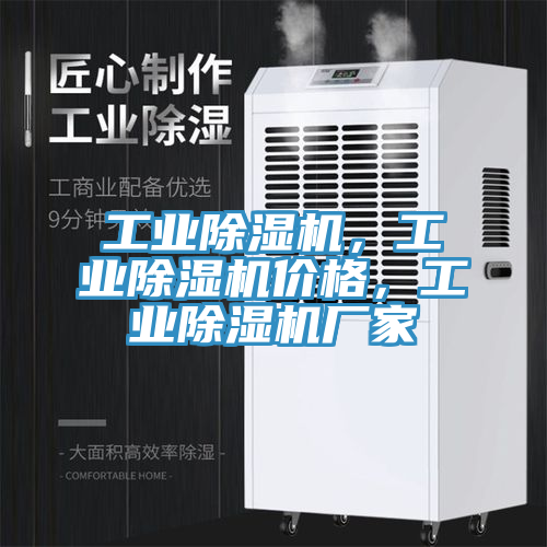 亚洲人成综合第一网站 工业除湿机，工业除湿机价格，工业除湿机厂家