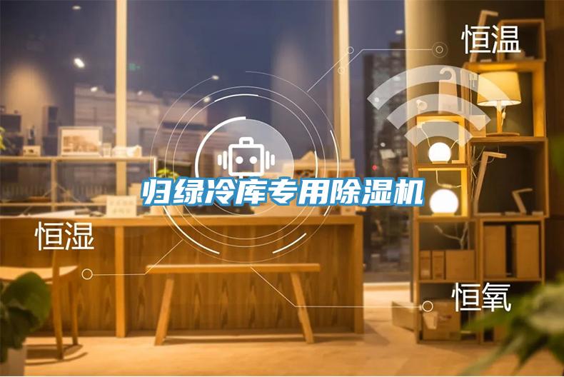 亚洲人成综合第一网站 归绿冷库专用除湿机