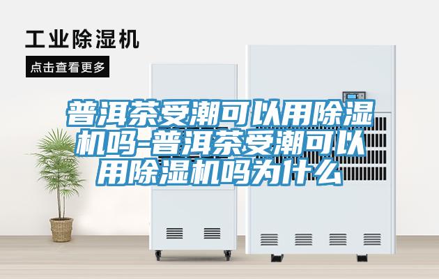 亚洲乱码一区二区三区 普洱茶受潮可以用除湿机吗-普洱茶受潮可以用除湿机吗为什么