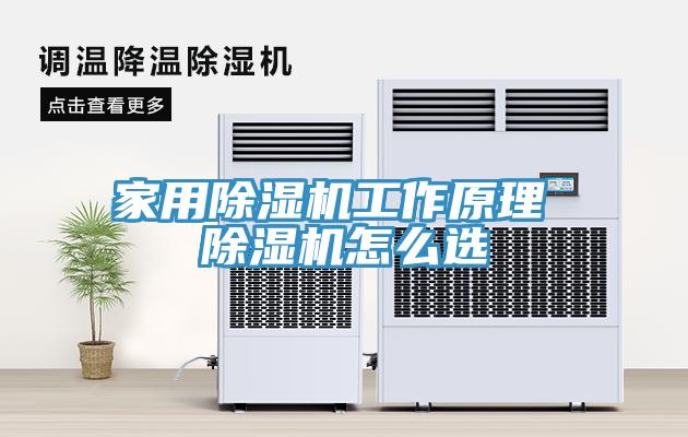 亚洲乱码一区二区三区 家用除湿机工作原理 除湿机怎么选