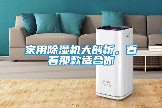 亚洲欧美一级特黄大片 家用除湿机大剖析，看看那款适合你