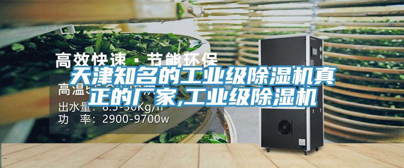 亚洲欧美一级特黄大片 天津知名的工业级除湿机真正的厂家,工业级除湿机