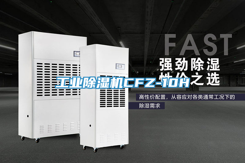 亚洲欧美一级特黄大片 工业除湿机CFZ-10H