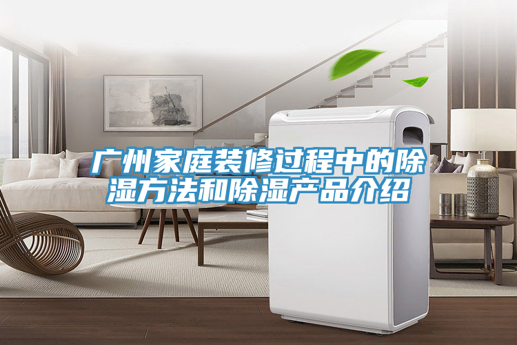 亚洲欧美一级特黄大片 广州家庭装修过程中的除湿方法和除湿产品介绍