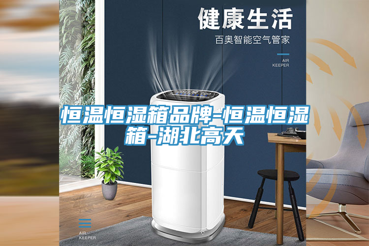 亚洲人成综合第一网站 恒温恒湿箱品牌-恒温恒湿箱-湖北高天