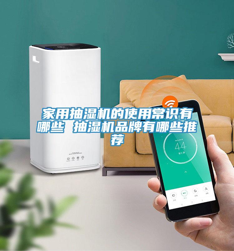 亚洲人成综合第一网站 家用抽湿机的使用常识有哪些 抽湿机品牌有哪些推荐