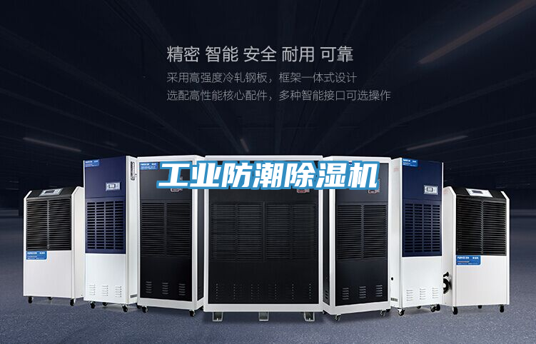 亚洲欧美一级特黄大片 工业防潮除湿机
