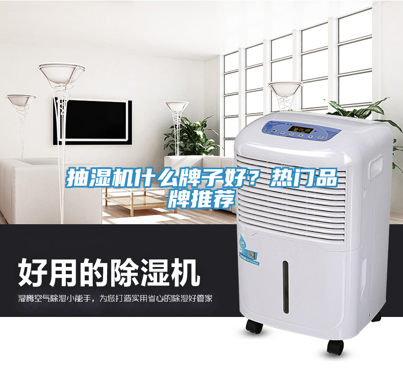 亚洲欧美一级特黄大片 抽湿机什么牌子好？热门品牌推荐
