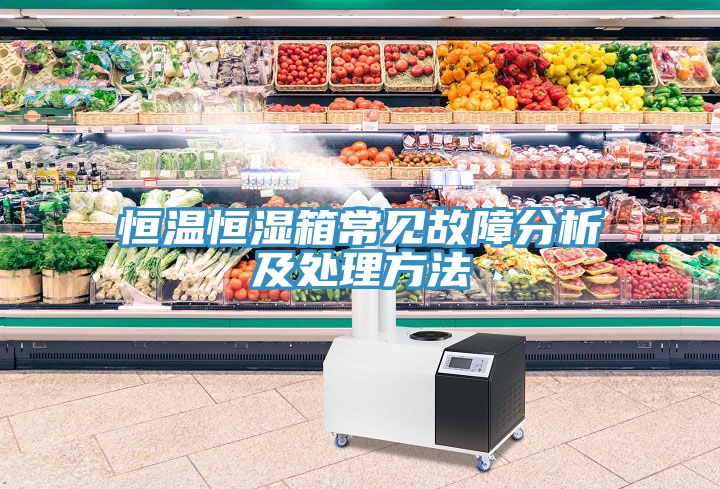 亚洲人成综合第一网站 恒温恒湿箱常见故障分析及处理方法