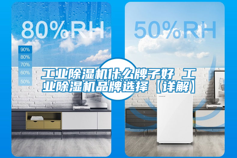 亚洲乱码一区二区三区 工业除湿机什么牌子好 工业除湿机品牌选择【详解】