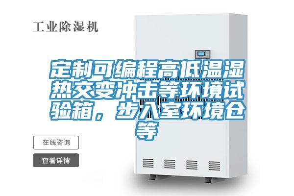 亚洲欧美一级特黄大片 定制可编程高低温湿热交变冲击等环境试验箱，步入室环境仓等