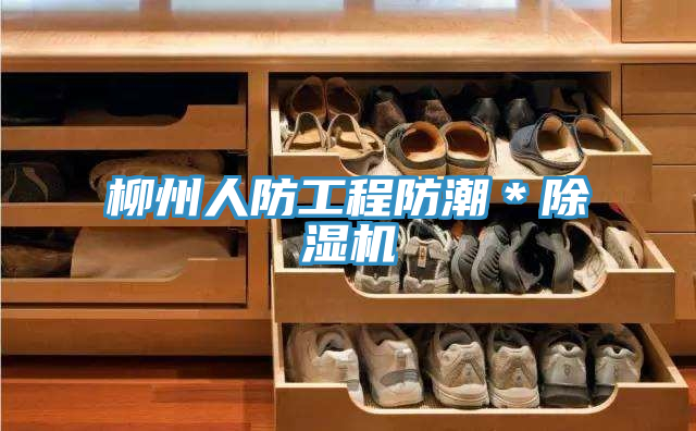 亚洲乱码一区二区三区 柳州人防工程防潮＊除湿机