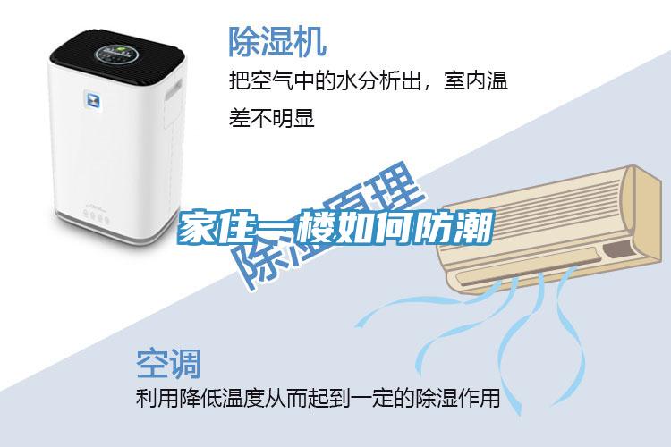亚洲乱码一区二区三区 家住一楼如何防潮
