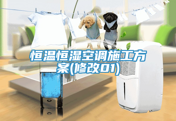亚洲欧美一级特黄大片 恒温恒湿空调施工方案(修改01)