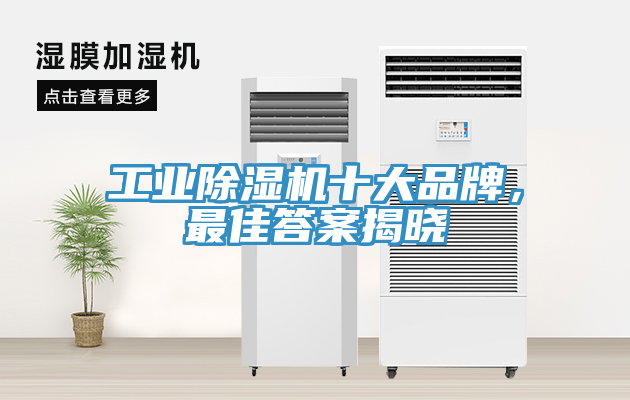 亚洲欧美一级特黄大片 工业除湿机十大品牌，最佳答案揭晓