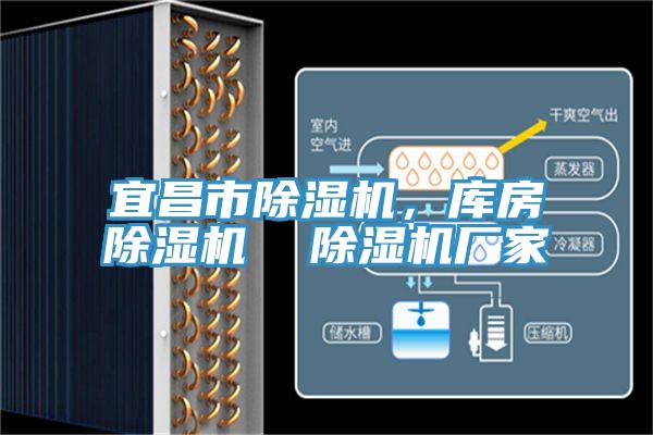 亚洲人成综合第一网站 宜昌市除湿机，库房除湿机  除湿机厂家