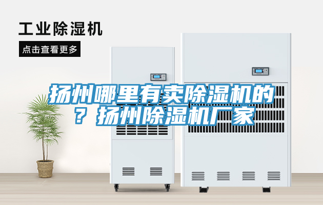亚洲欧美一级特黄大片 扬州哪里有卖除湿机的？扬州除湿机厂家