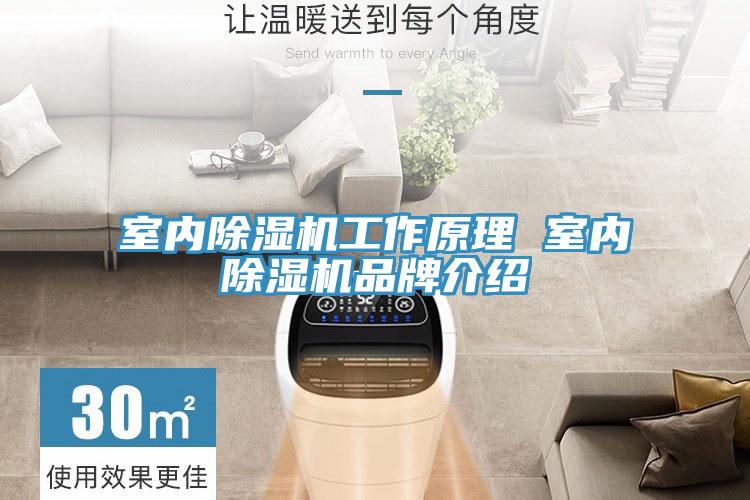 亚洲人成综合第一网站 室内除湿机工作原理 室内除湿机品牌介绍