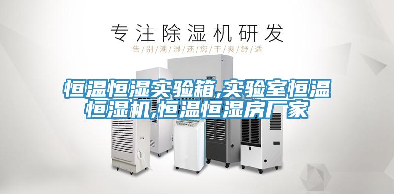 亚洲人成综合第一网站 恒温恒湿实验箱,实验室恒温恒湿机,恒温恒湿房厂家