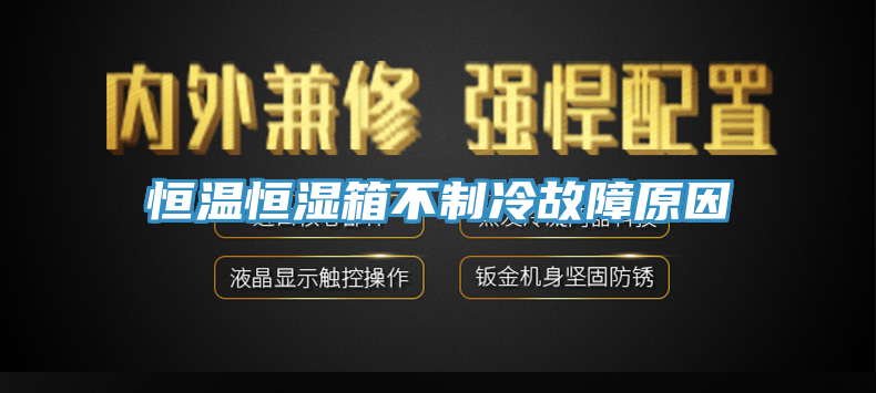 亚洲人成综合第一网站 恒温恒湿箱不制冷故障原因