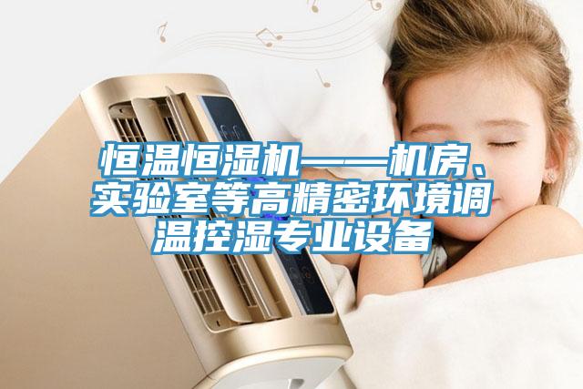 亚洲欧美一级特黄大片 恒温恒湿机——机房、实验室等高精密环境调温控湿专业设备