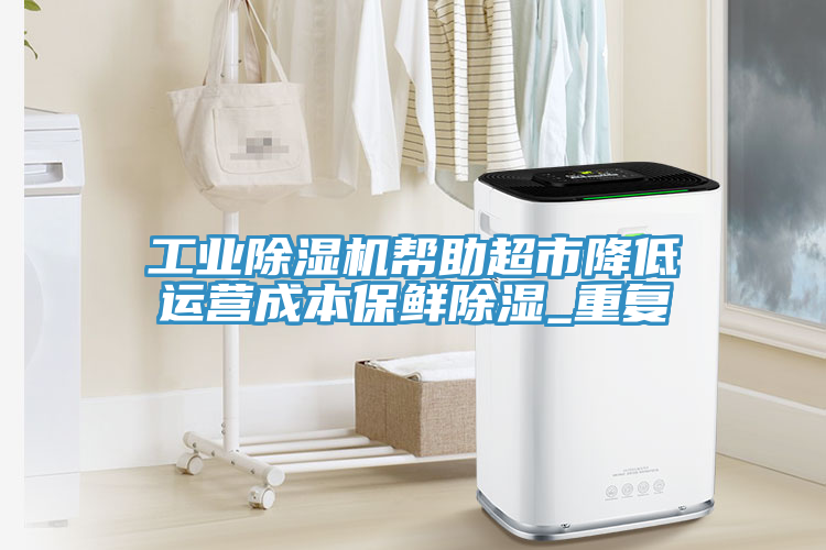亚洲欧美一级特黄大片 工业除湿机帮助超市降低运营成本保鲜除湿_重复