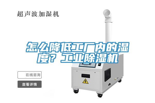 亚洲人成综合第一网站 怎么降低工厂内的湿度？工业除湿机