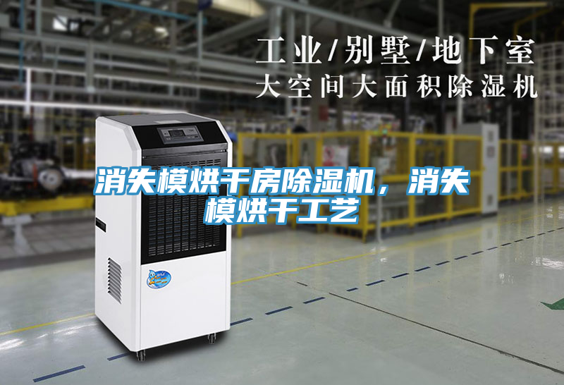 亚洲欧美一级特黄大片 消失模烘干房除湿机，消失模烘干工艺