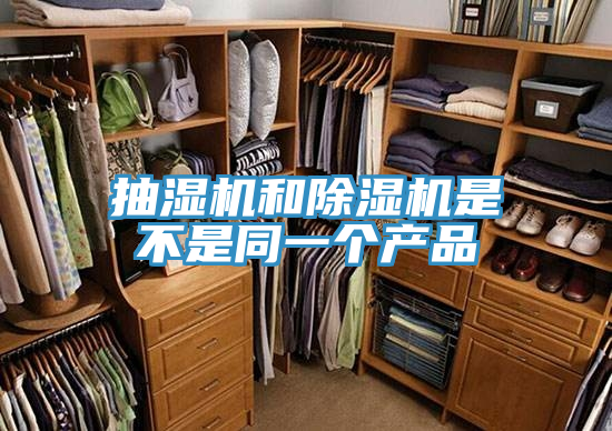 亚洲乱码一区二区三区 抽湿机和除湿机是不是同一个产品