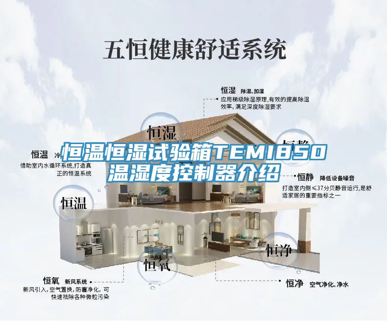 亚洲欧美一级特黄大片 恒温恒湿试验箱TEMI850温湿度控制器介绍