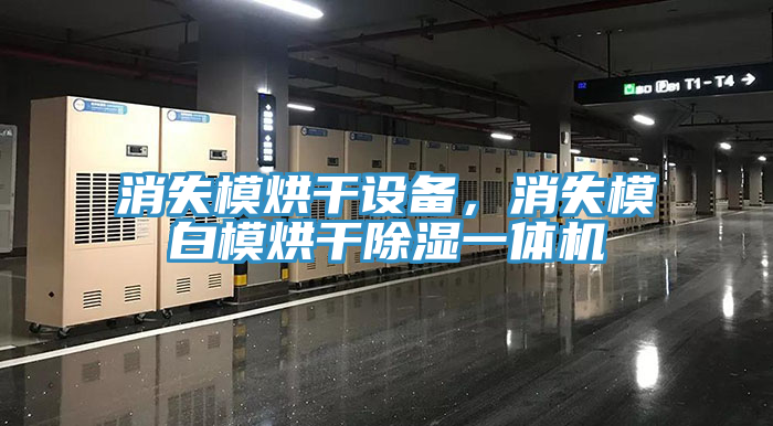 亚洲人成综合第一网站 消失模烘干设备，消失模白模烘干除湿一体机