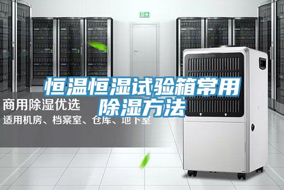 亚洲人成综合第一网站 恒温恒湿试验箱常用除湿方法
