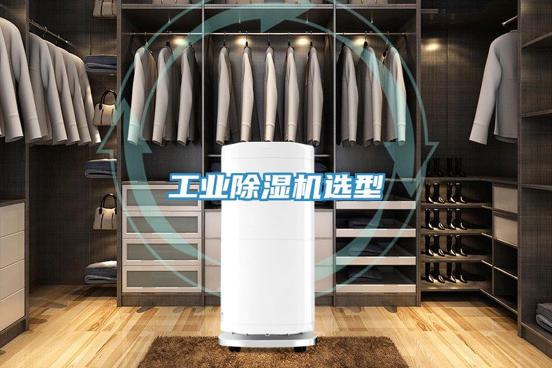 亚洲人成综合第一网站 工业除湿机选型