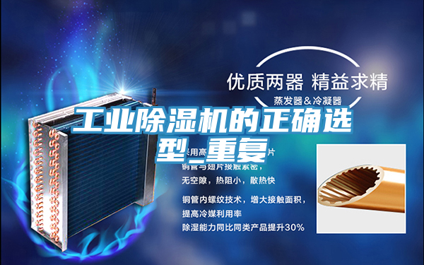 亚洲人成综合第一网站 工业除湿机的正确选型_重复