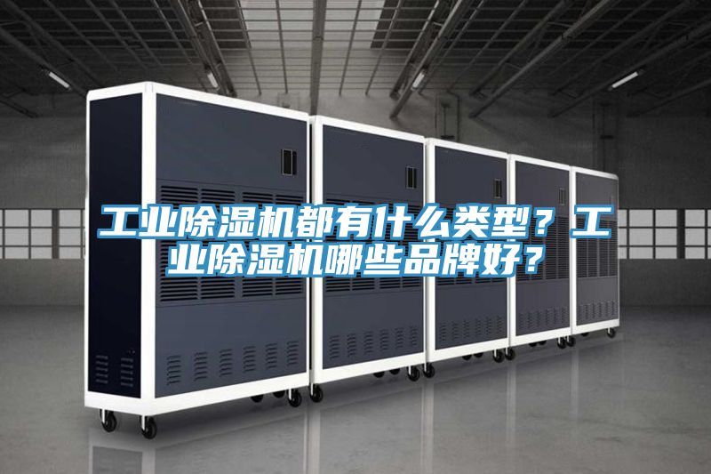 亚洲人成综合第一网站 工业除湿机都有什么类型？工业除湿机哪些品牌好？