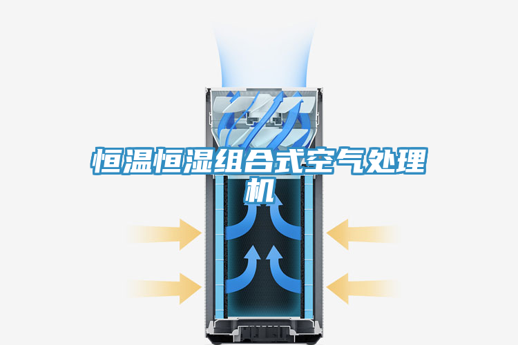 亚洲欧美一级特黄大片 恒温恒湿组合式空气处理机
