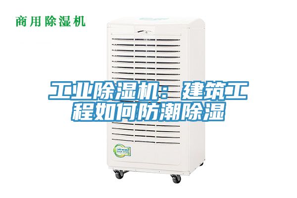 亚洲欧美一级特黄大片 工业除湿机：建筑工程如何防潮除湿